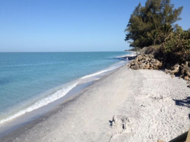 Vacation Condo 1 Bedroom Sleeps 4 Guests Beachfront Location With Pool